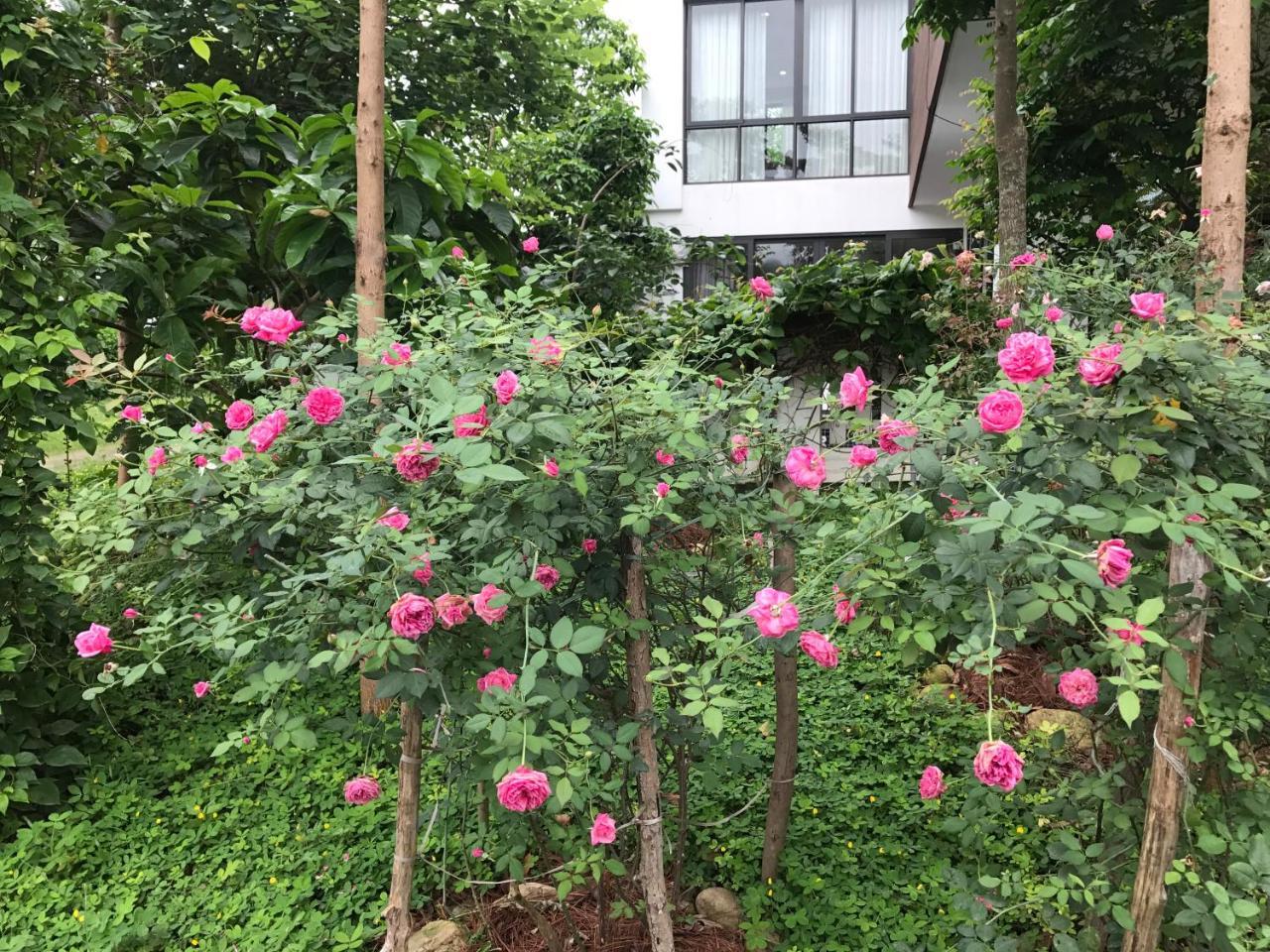 Flamingo Dailai - Hq Villa Ngoc Quang Exterior photo